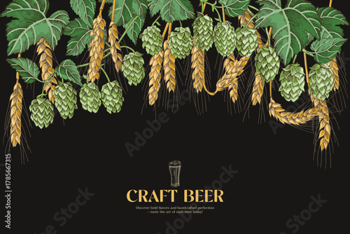 Craft beer background with hop and malt