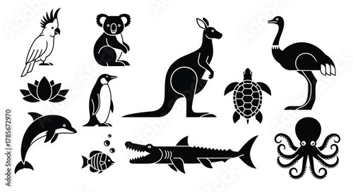 Vector illustration of australian animals and sea creatures clipart editable