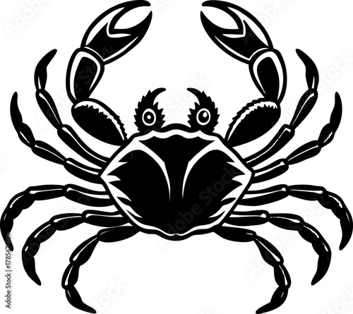A detailed, black and white illustration of a crab centered on a white background. The crab is depicted in a top-down view, showcasing its entire body. It has a rounded carapace with detailed hatched 