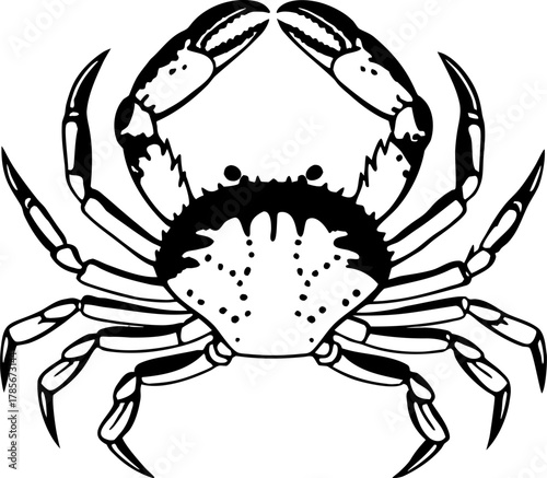 A detailed, black and white illustration of a crab centered on a white background. The crab is depicted in a top-down view, showcasing its entire body. It has a rounded carapace with detailed hatched 