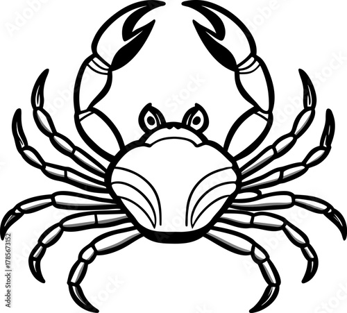 A detailed, black and white illustration of a crab centered on a white background. The crab is depicted in a top-down view, showcasing its entire body. It has a rounded carapace with detailed hatched 