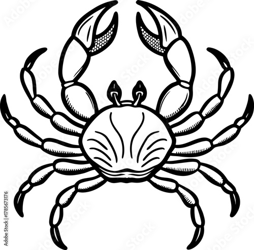 A detailed, black and white illustration of a crab centered on a white background. The crab is depicted in a top-down view, showcasing its entire body. It has a rounded carapace with detailed hatched 