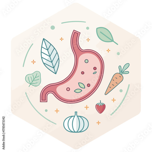 A flat pastel illustration of a stomach icon representing health