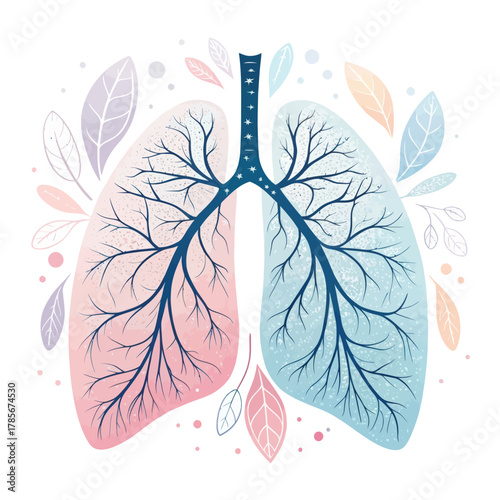 Flat vector illustration of human lungs medical anatomy