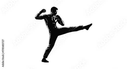 Martial arts fighter kick silhouette training combat sport action