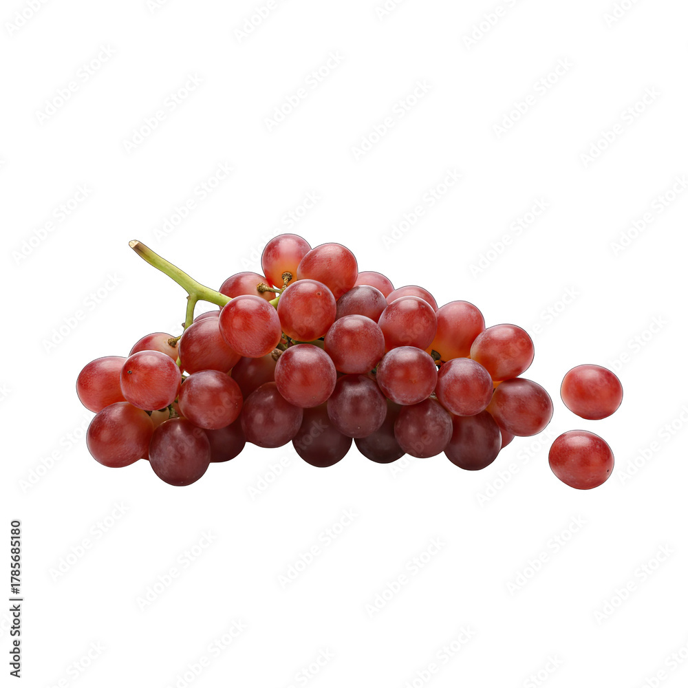Fototapeta premium A Bunch of Ripe Red Grapes with a Transparent Background Illuminated by Soft Studio Lighting