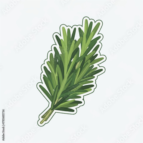 A sprig of rosemary with dark green needlelike leaves