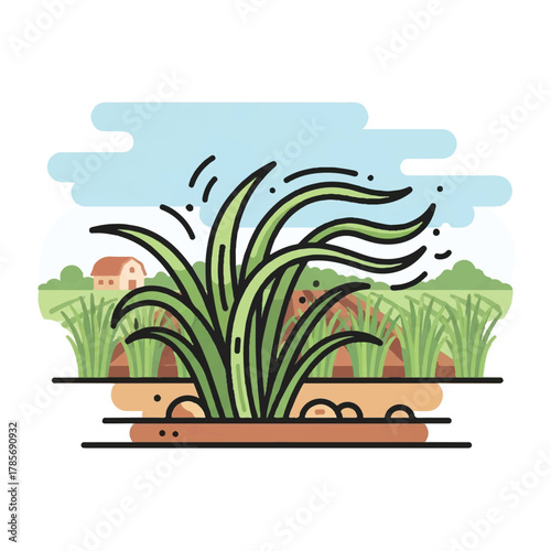 Flat illustration of rice paddies with a small house