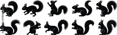 Canvas Print Squirrel silhouette, forest animal icon, wildlife pose, bushy tail, rodent shape