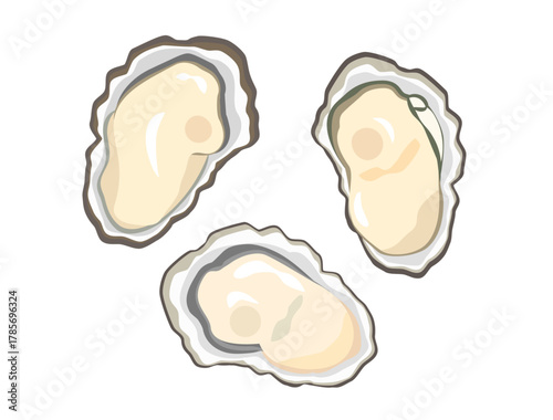 殻付きの牡蠣のイラスト