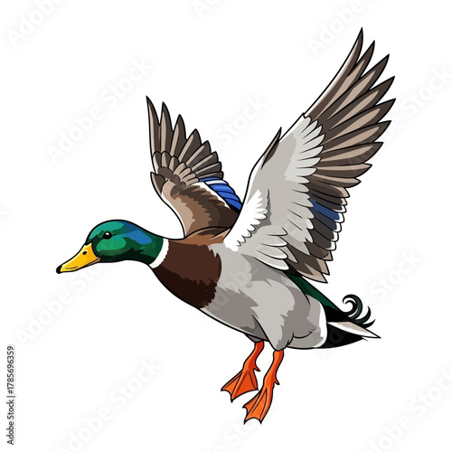 mallard duck hunting illustration logo vector image t shirt
