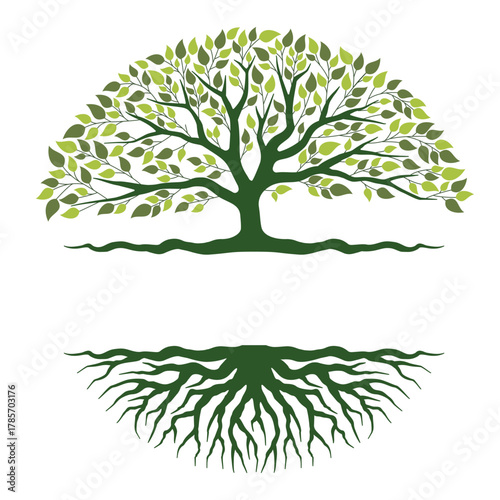 Tree with roots and leaves — nature growth and life balance concept vector illustration