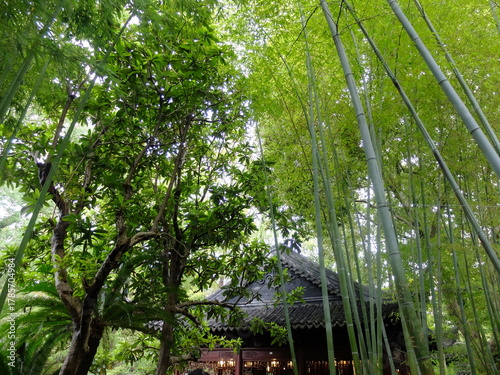 Atmosphere and ancient Chinese architecture inside the famous Yuyuan Garden in Shanghai, China. Showcasing Ming Dynasty design, rockeries, pavilions, and tranquil ponds.
