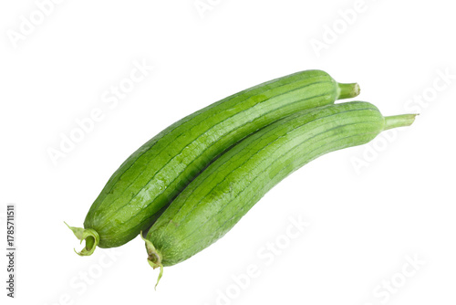 Fresh Green Longline Cucumber Squash Vegetables on White Background