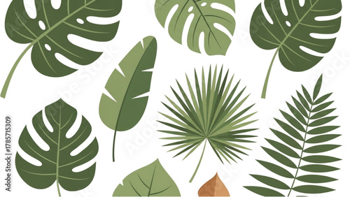 Collection of Various Green Tropical Leaves, Nature and Botanical Vector Illustration