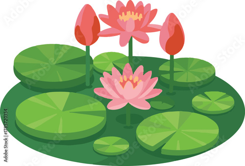 pink lotus flower
