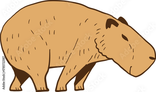 Cartoon Illustration of a Capybara