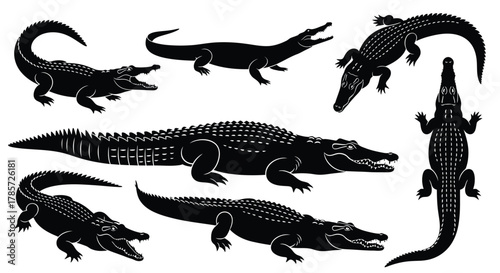 Powerful crocodile silhouettes roaring on white background for designs