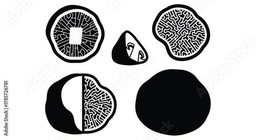 Exotic truffles in minimalist black and white style for elegant design