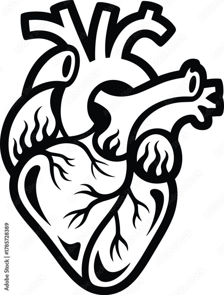 Fototapeta premium Anatomical heart svg, Medical heart svg