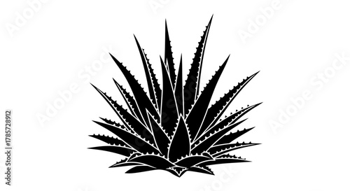 Bold aloe vera silhouette, ideal for botanical illustrations and designs