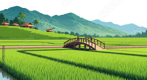 Vibrant illustration of lush green rice paddies with a small wooden bridge and distant mountains under a clear sky.