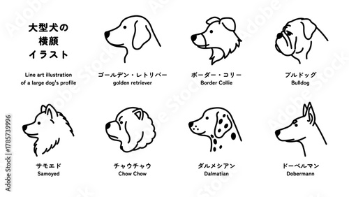 大型犬の横顔のシンプルな線画イラストセット（ゴールデン・レトリバー、ブルドッグなど）