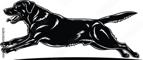 Black labrador retriever running vector illustration dog pet animal eps silhouette