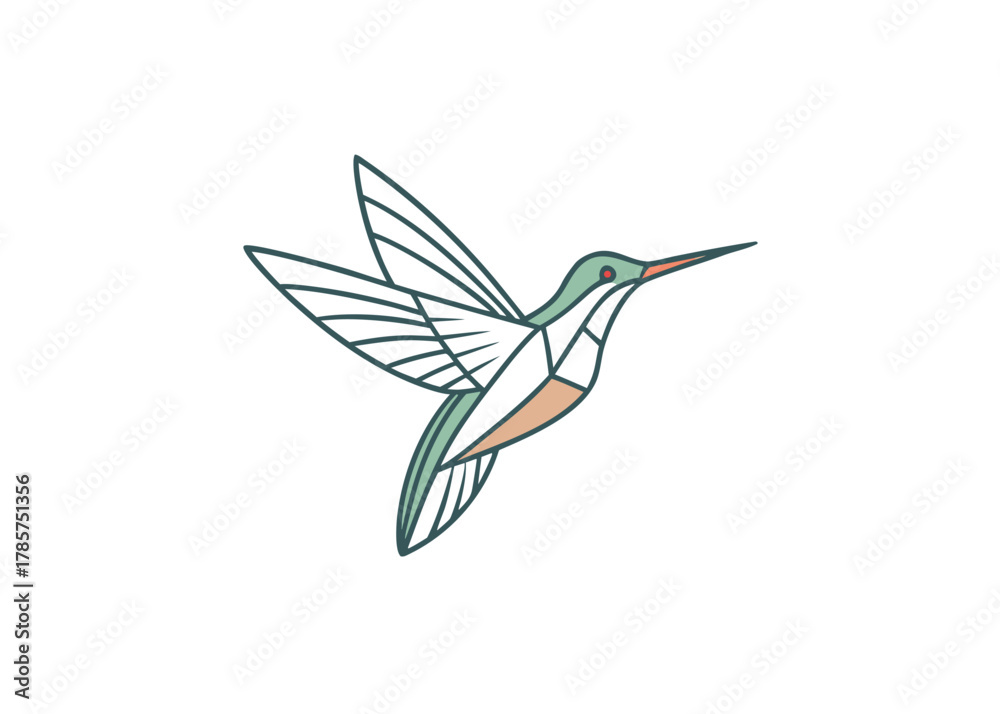 Obraz premium Hummingbird