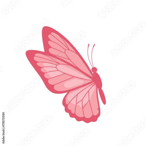 Stylized Pink Butterfly Vector Illustration Isolated on White Background