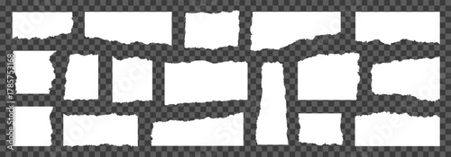 Torn paper pieces set isolated on transparent background, ragged memory sheets with uneven edges, ripped fragments of blank notebook pages, checkered edges, torn paper shape