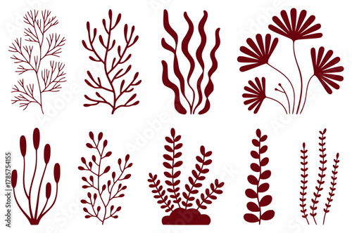 Collection of Stylized Red Seaweed and Aquatic Plants