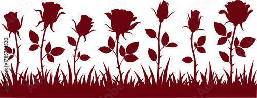Silhouette of Red Roses and Grass Against White Background