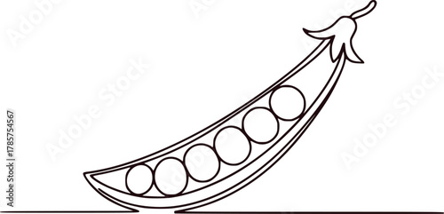 Simple Line Art Illustration of a Pea Pod with Six Peas