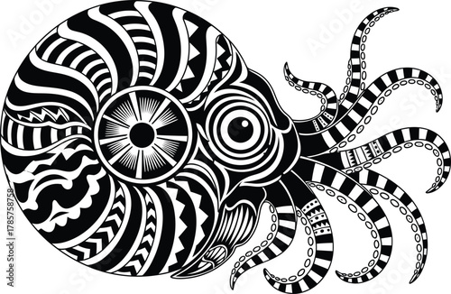 Nautilus shell vector illustration black and white tribal style art eps silhouette