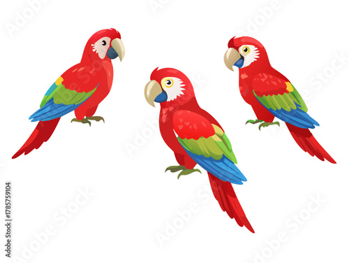 Set of adult parrot of red-and-green macaw Ara (Ara chloropterus) cartoon bird design flat vector illustration isolated on white background

