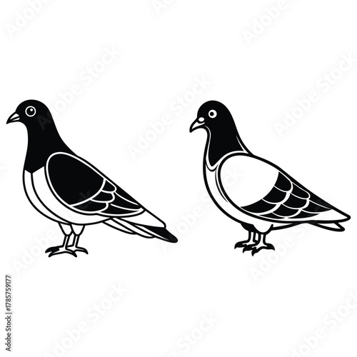 Bird Couple Vector Art