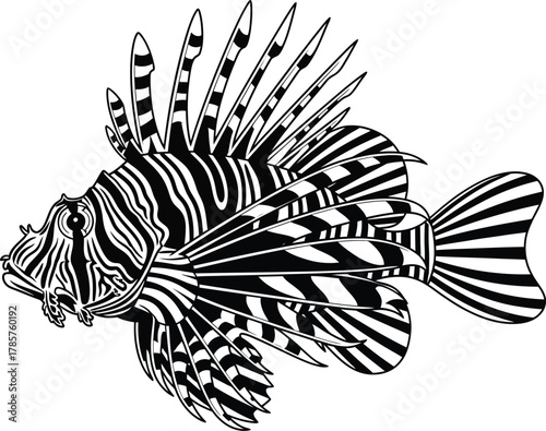 Black and white lionfish vector illustration sea life tropical fish art eps silhouette