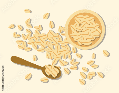 vector illustration of a rolled oat