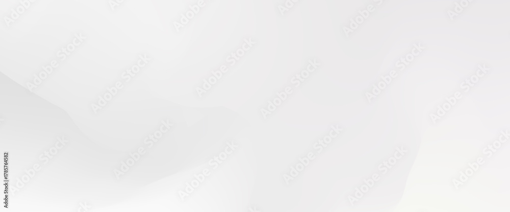 Fototapeta premium abstract gradient white and grey background. Silver foil background with metal mirror texture. Chrome gradient surface with light gloss simple abstract.