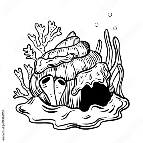 Seashell and Coral Underwater Hand Drawn Sketch