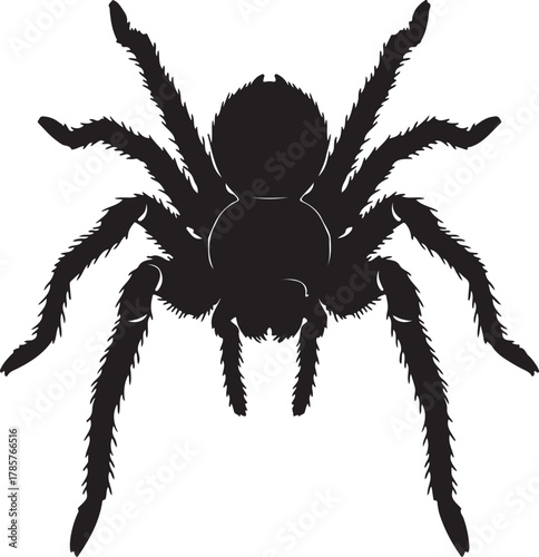 Black silhouette of a tarantula spider with hairy legs on a white background Keywords: spider, tarantula, silhouette, black, insect, arachnid, creepy, scary, Halloween, on transparent background