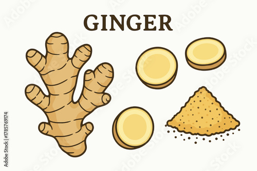 Illustration of ginger root and slices with powder on white background