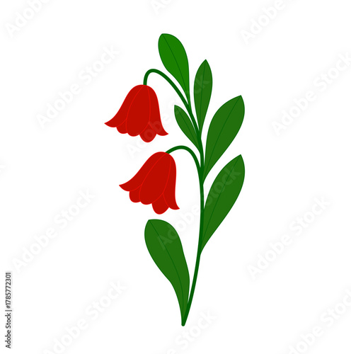 Red Bellflower Illustration with Green Leaves on White