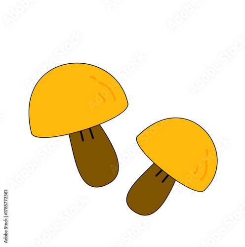 Two Cartoon Mushrooms: Yellow Caps and Brown Stems