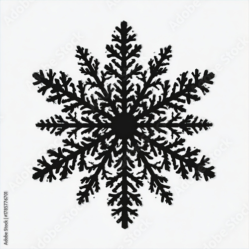 Nice Snowflake silhouette p...