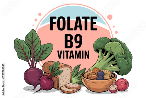 Folate b9 vitamin food sources for healthy nutrition and diet