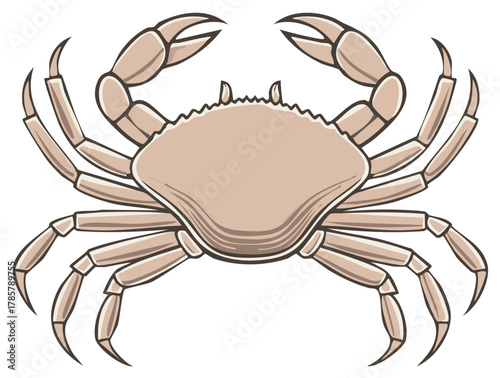 Stylized illustration of a light brown crab with open claws and multiple legs.