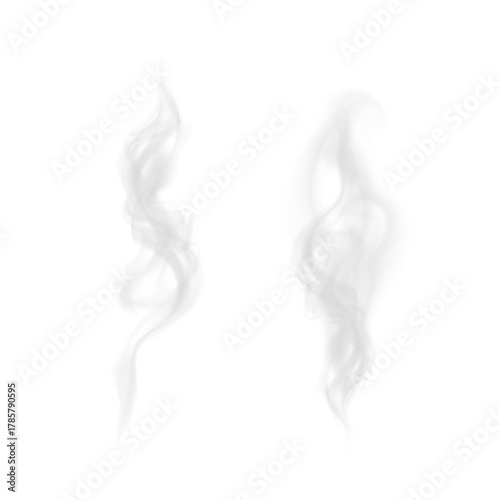 Twin Wispy Smoke Swirls—Isolated Vapor Pattern PNG