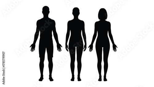 Human Body Silhouettes Set - Full Length Male and Female Figures Standing Upright